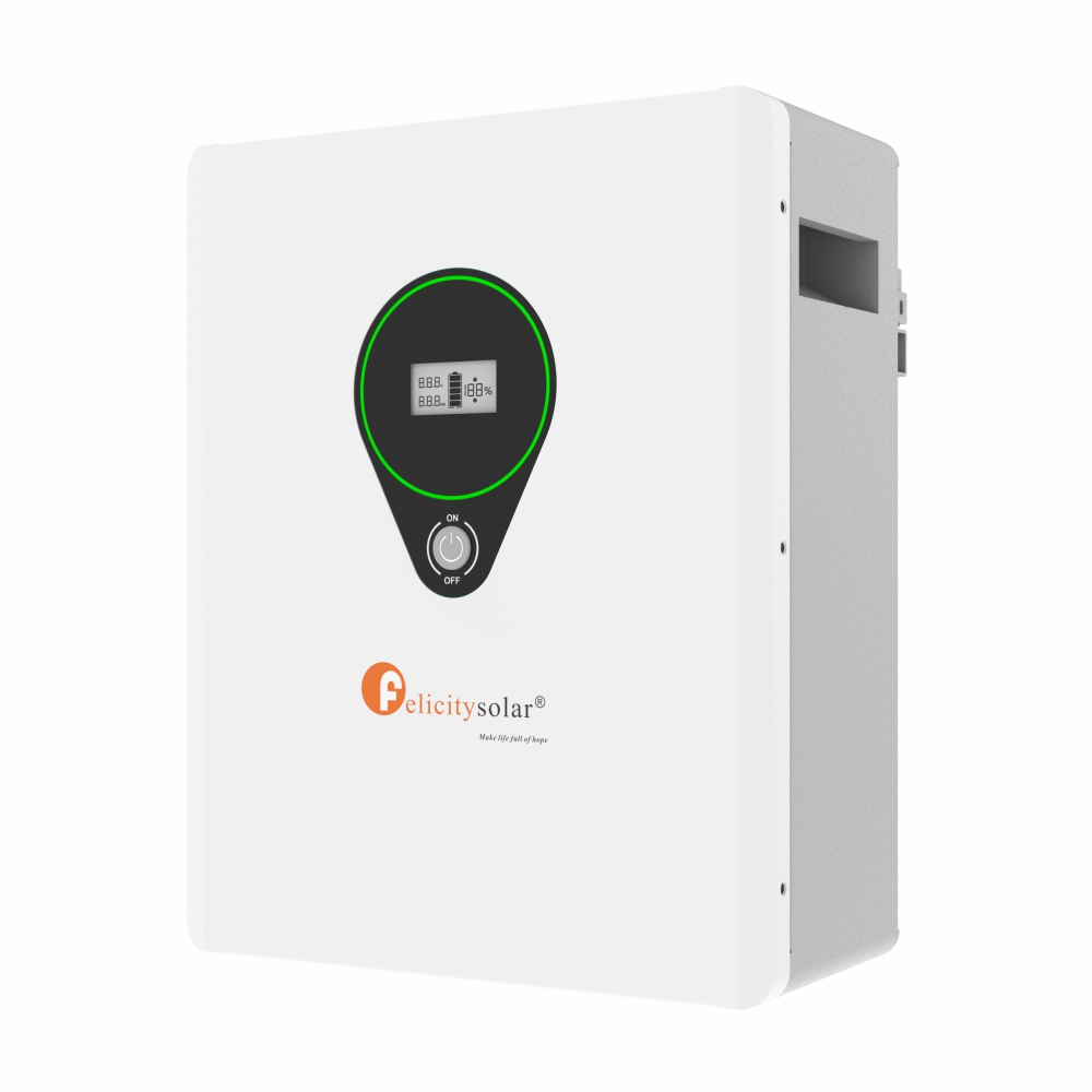 Batería Solar LiFePO4 Felicity Solar 24V 2.5kWh - Imagen 4