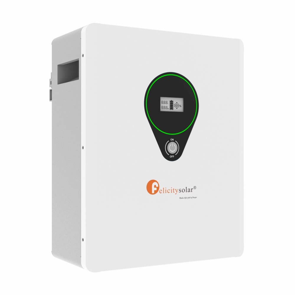 Batería Solar LiFePO4 Felicity Solar 24V 2.5kWh - Imagen 3